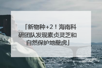 新物种+2！海南科研团队发现素贞灵芝和自然保护地壁虎